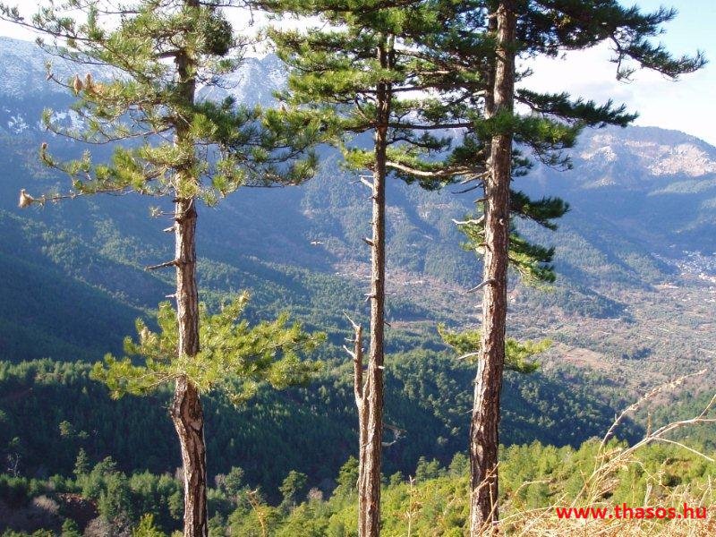 Golden Beach, hegyek